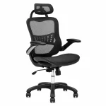 Ergonomic Mesh Executive Chair - Black